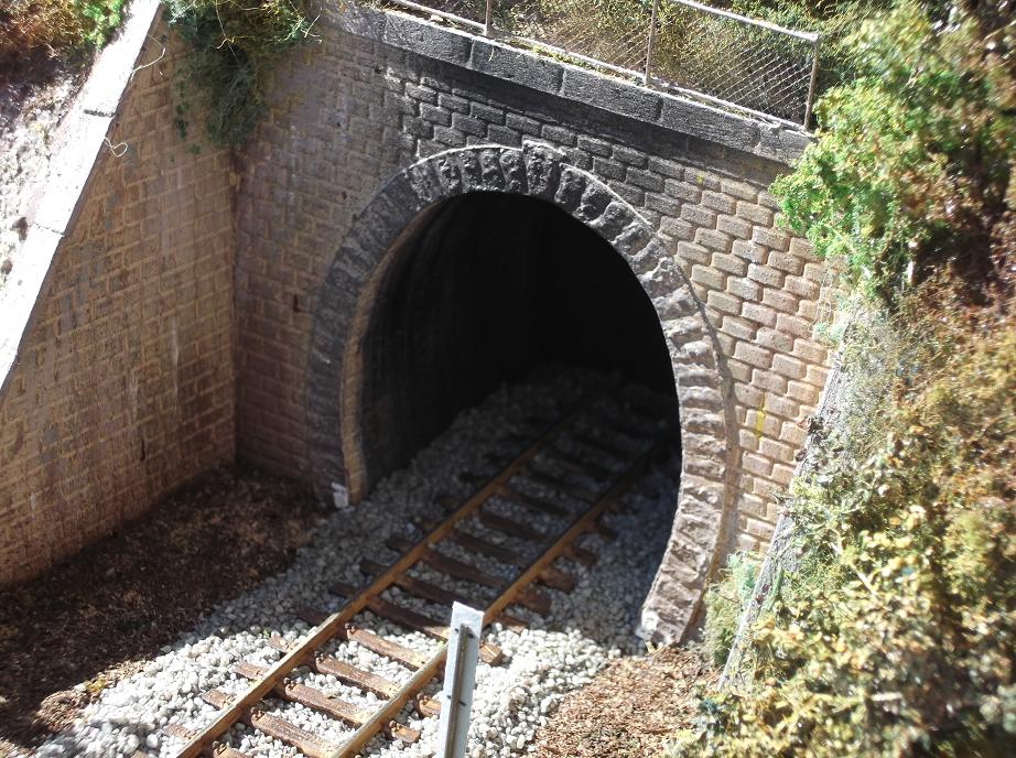 DSCF0203 - Copia.JPG