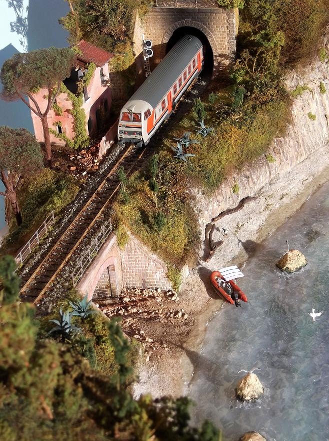 DSCF0228 - Copia.JPG