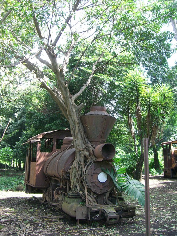 DA QUALCHE PARTE IN SUD AMERICA.jpg