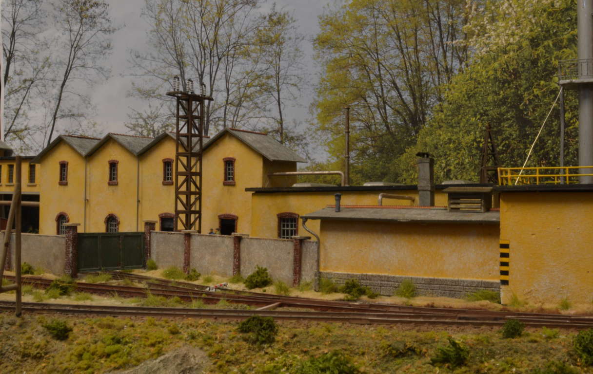 DSC_6382 (FILEminimizer).JPG