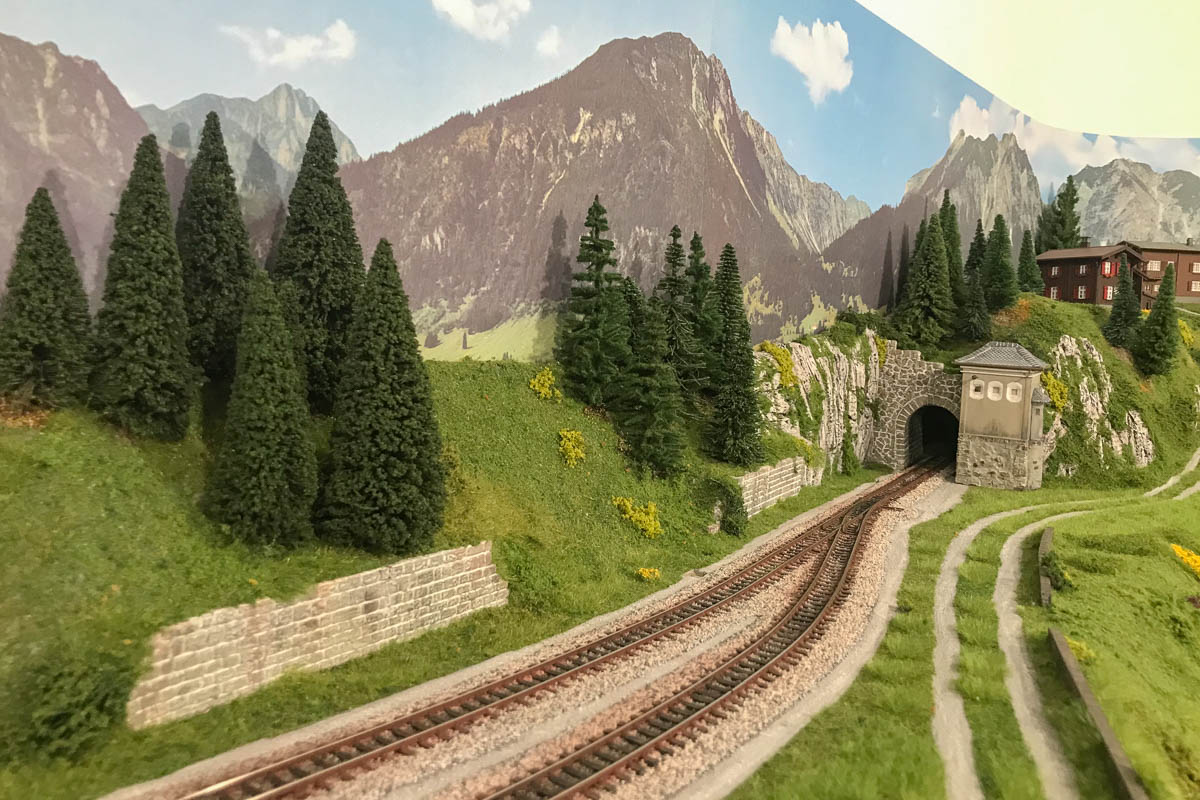 2023 03 03 - vegetazione-2.jpg