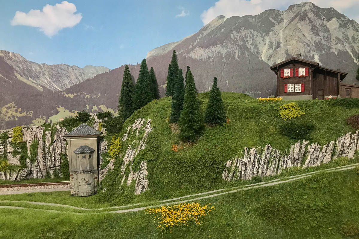 2023 03 03 - vegetazione-1.jpg