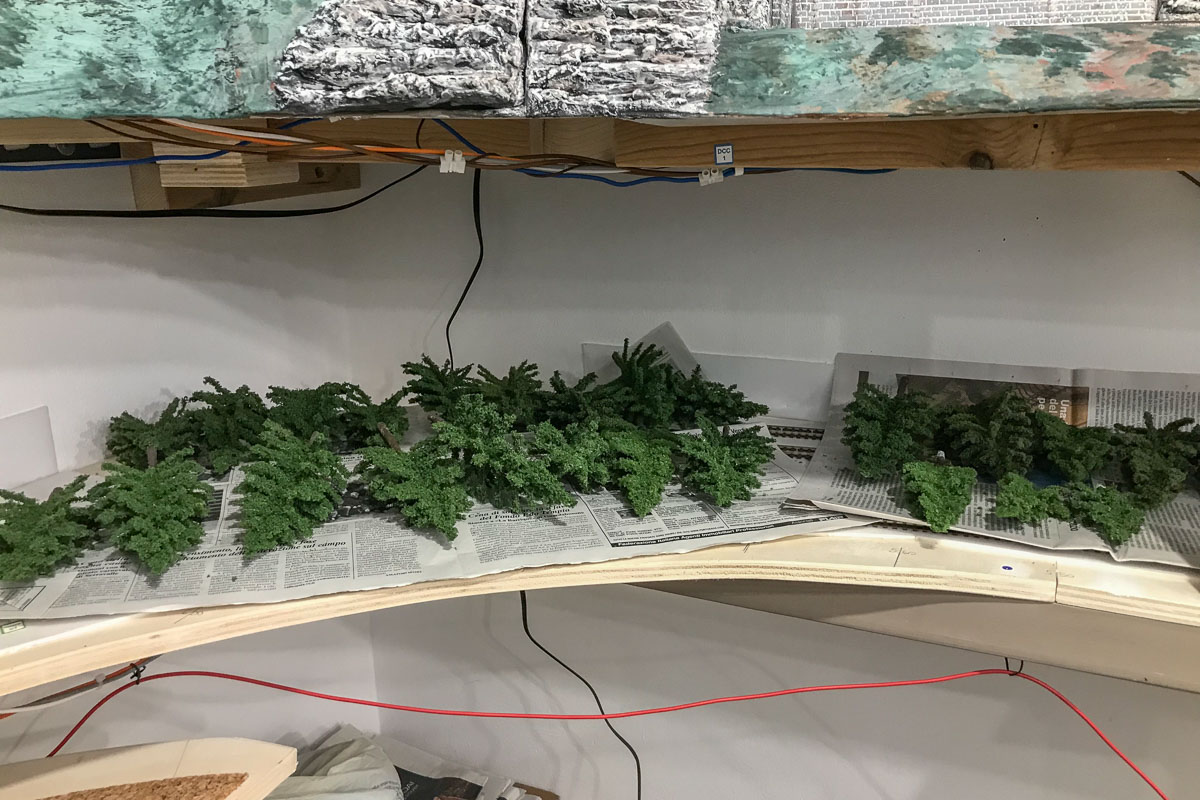 2023 03 03 - alberi pronti per la posa-2.jpg