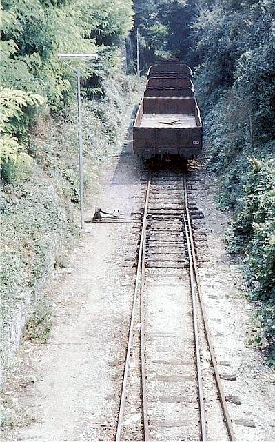 colleve1-Ago-1977-compresso 88 kb.jpg