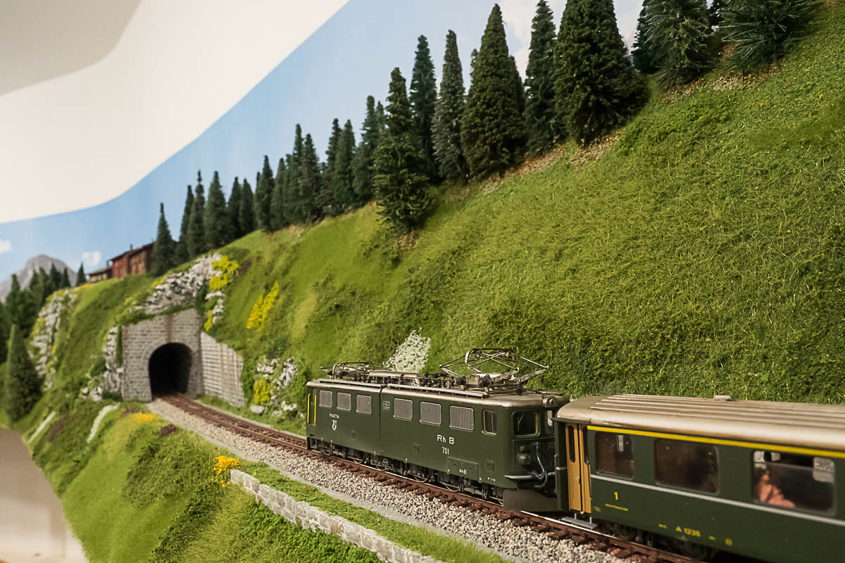 2023 03 24 - vegetazione-8.jpg