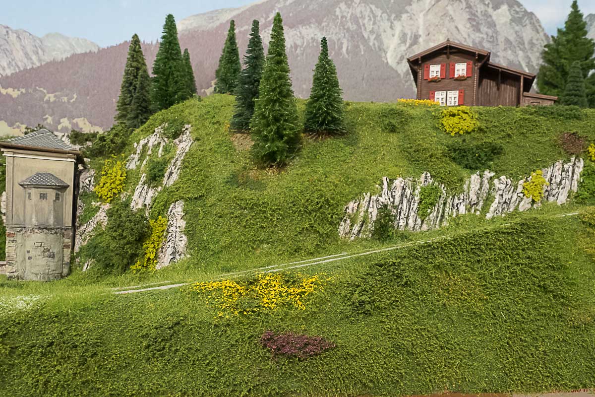 2023 03 24 - vegetazione-5.jpg