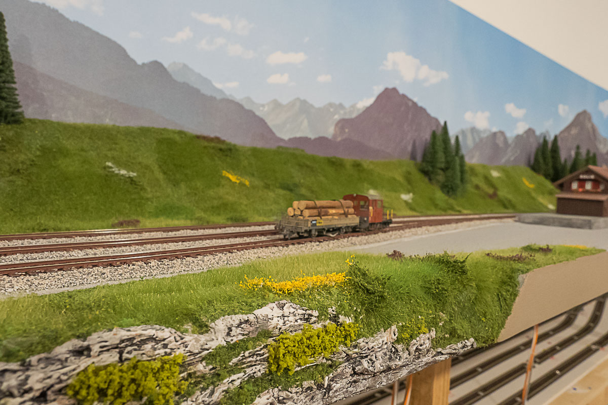 2023 03 24 - vegetazione-3.jpg