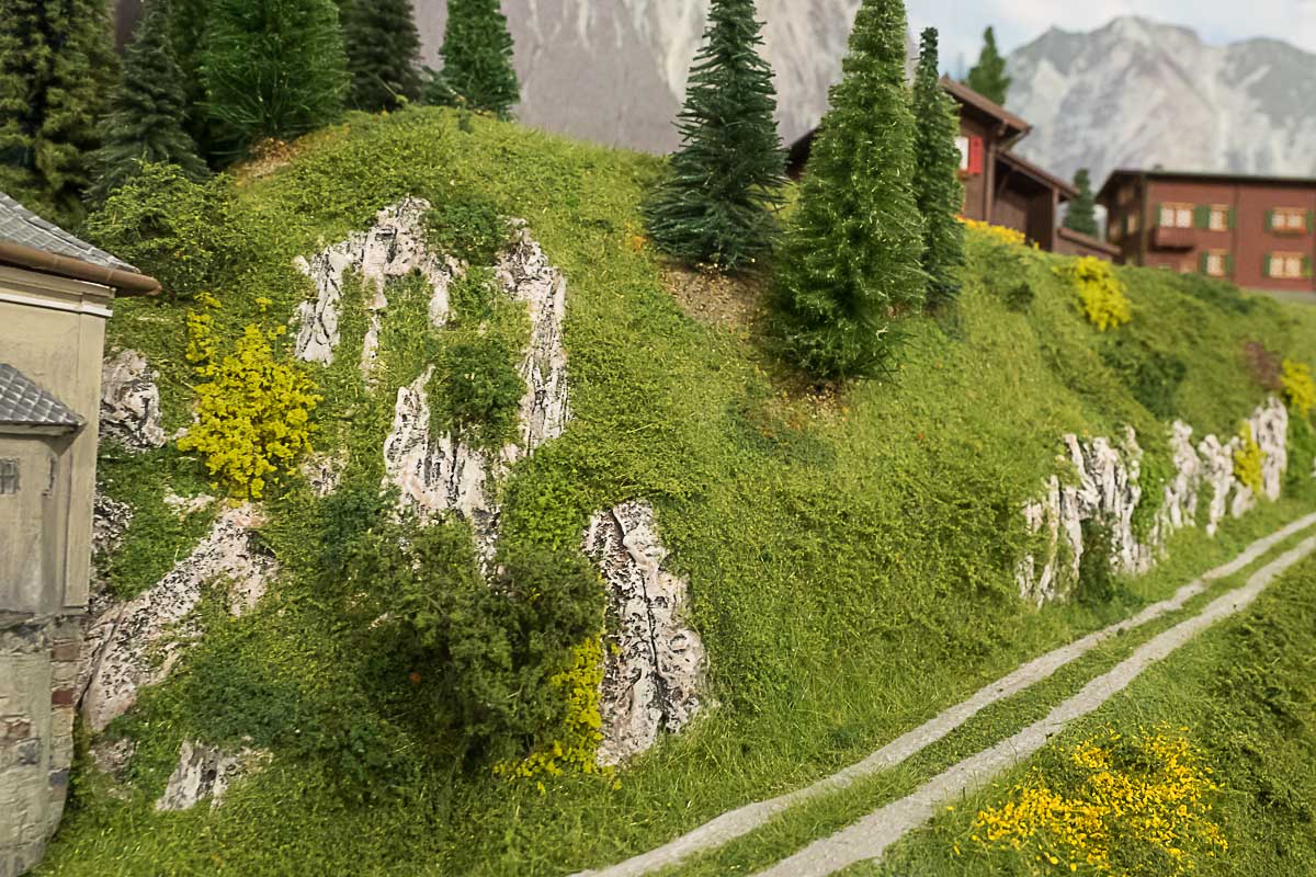 2023 03 24 - vegetazione-15.jpg