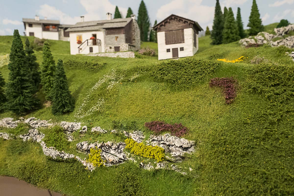 2023 03 24 - vegetazione-12.jpg