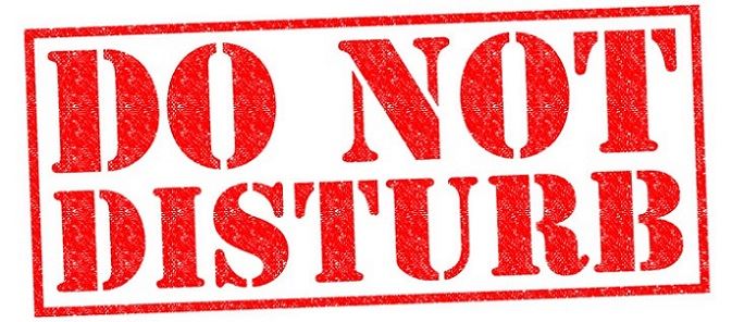 donotdisturbestesa_62404.jpg