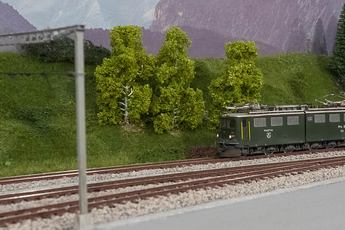 2023 04 22 - ancora vegetazione-3.jpg