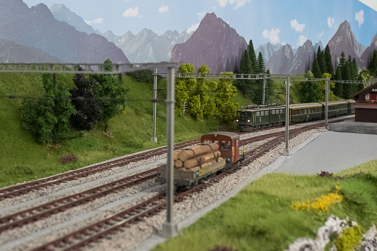 2023 04 22 - ancora vegetazione-4.jpg