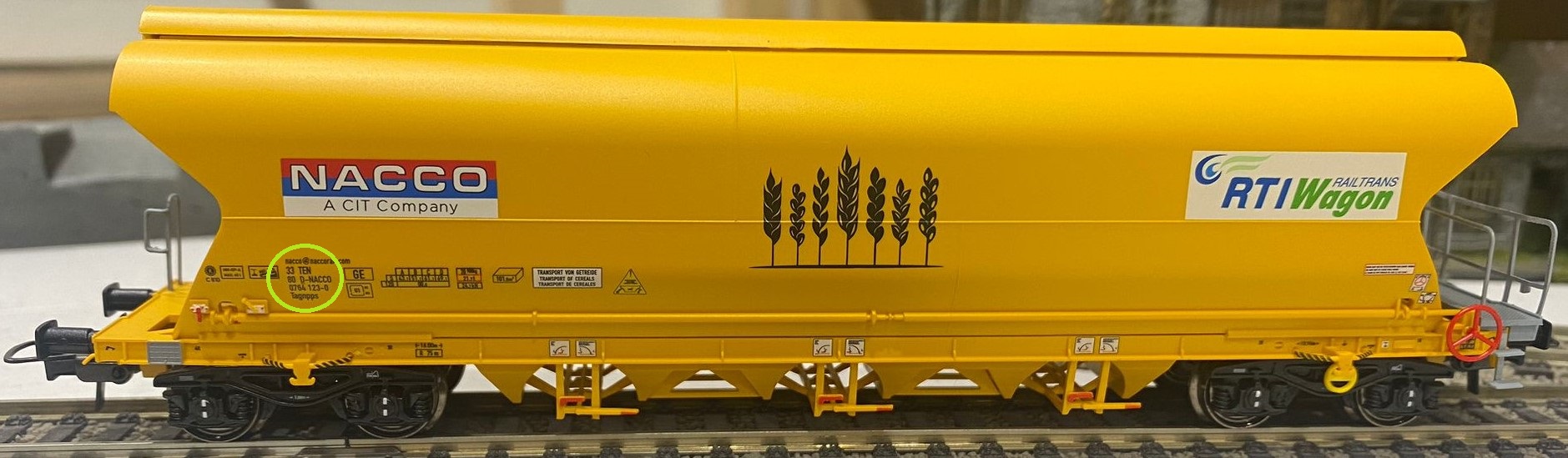 Immagine WhatsApp 2023-05-07 ore 09.53.46.jpg