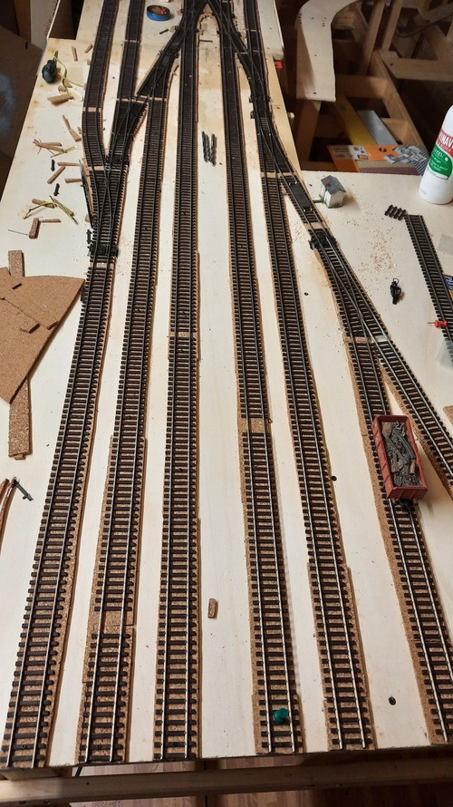 20231008_192750 (1).jpg