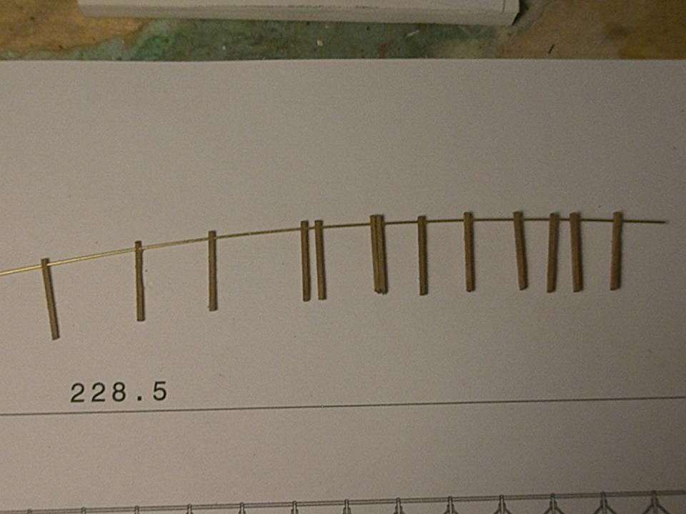 526.59 RINGHIERA.JPG