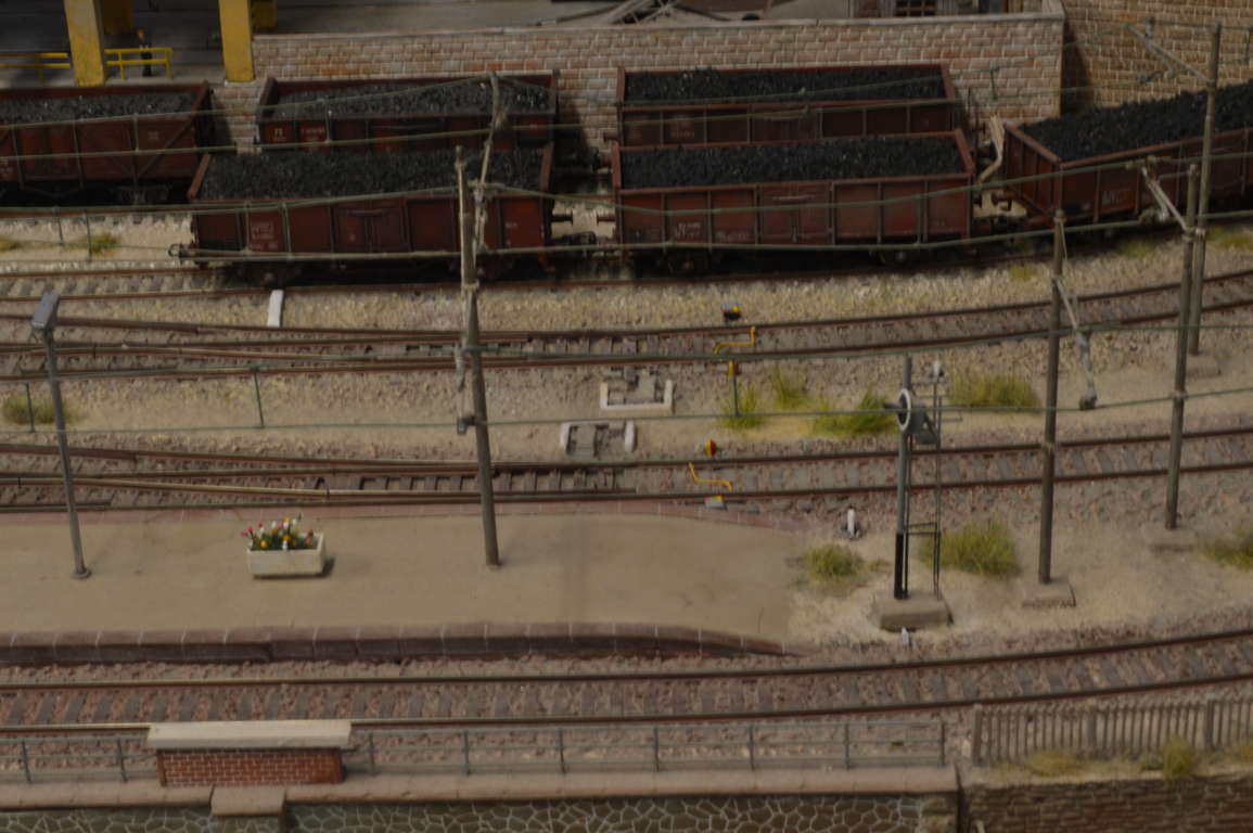 DSC_6803 (FILEminimizer).JPG