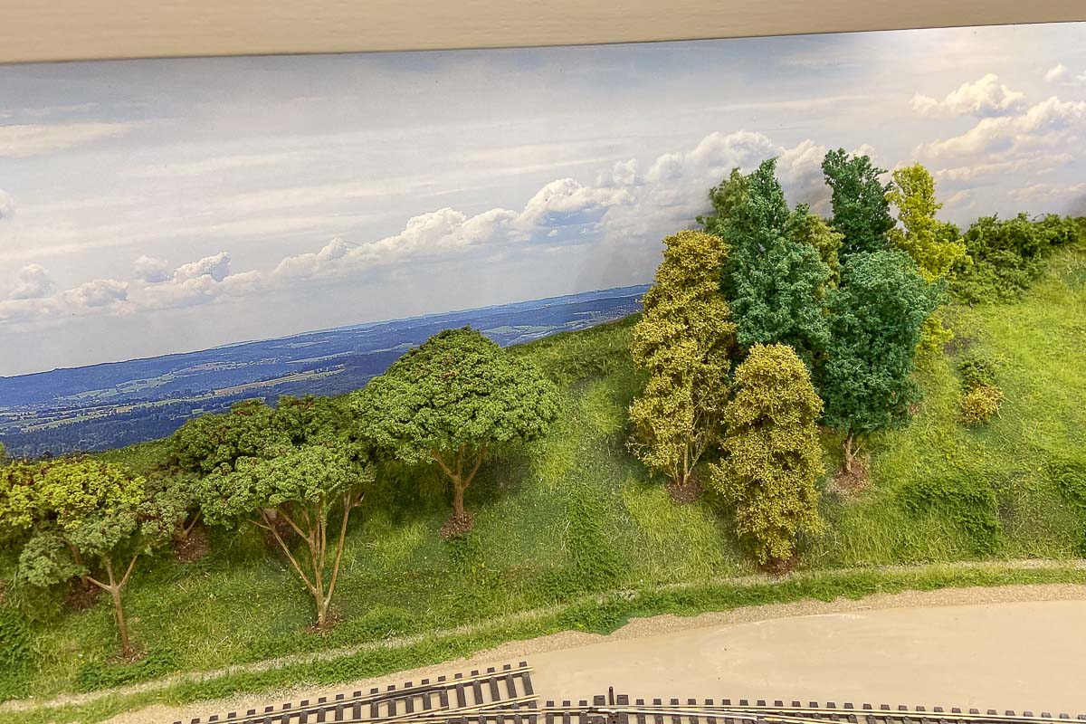 2024 06 09 - alberi-lato Sorbole-2.jpg