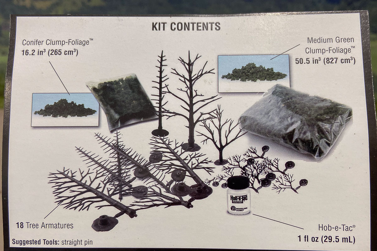 2024 06 09 - alberi-WS LK953 2.jpg