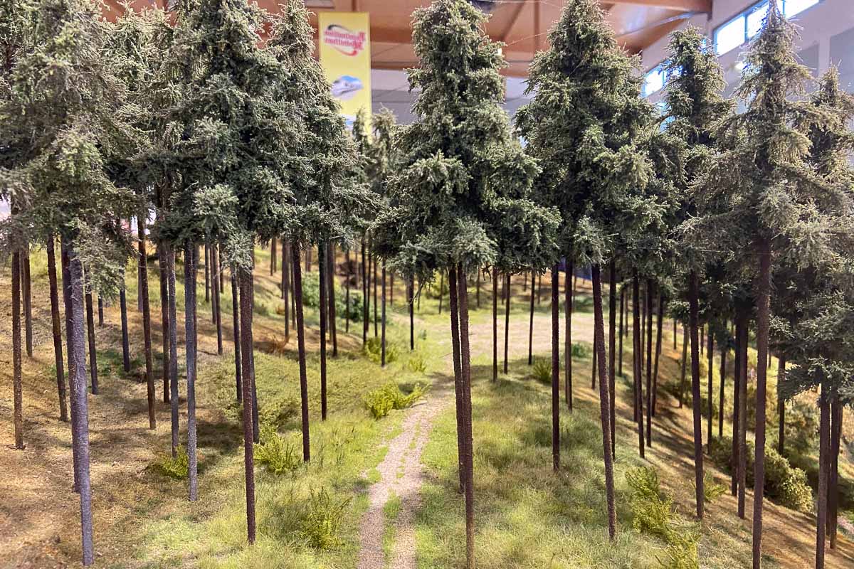 2024 11 02 - Friedrichshafen-14.jpg