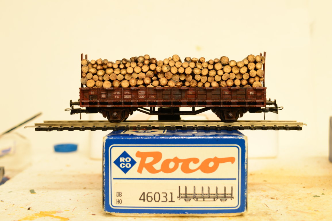 DSC_4028 (FILEminimizer).JPG