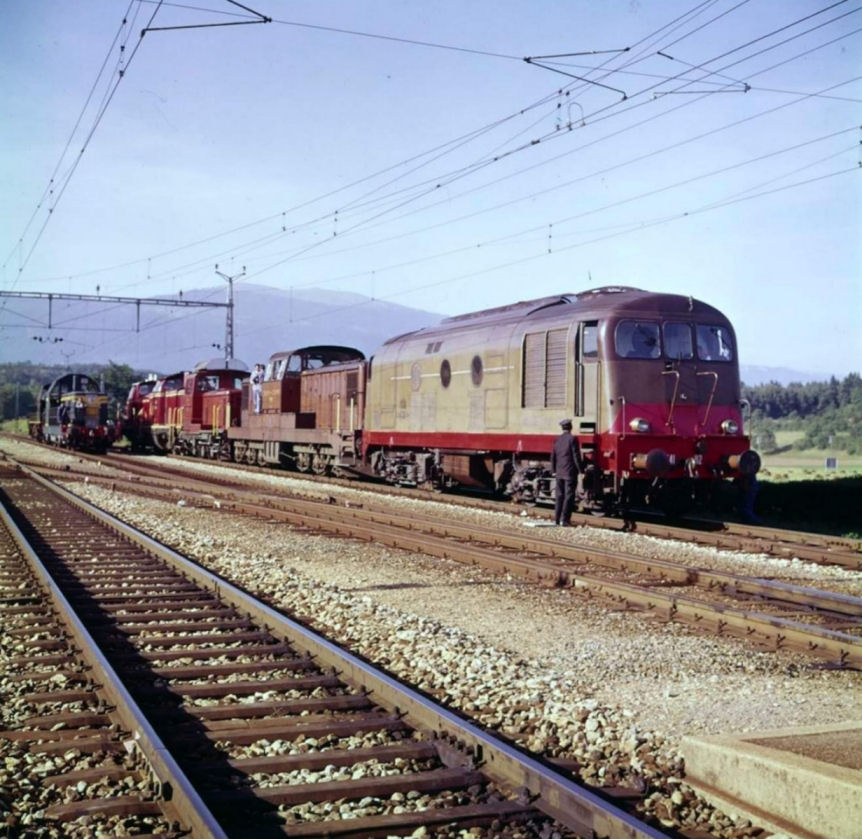 D 341.jpg