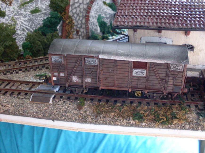 Copia di SDC10590.JPG