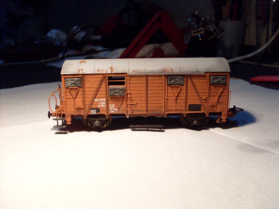 Copia di SDC10626.JPG