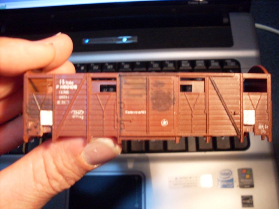 Copia di SDC10610.JPG