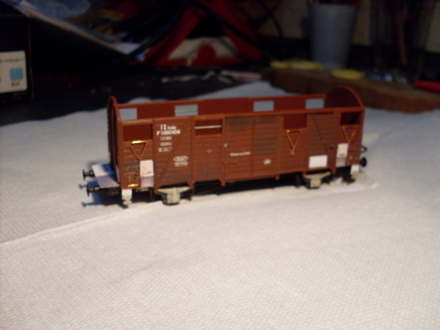 Copia di SDC10615.JPG