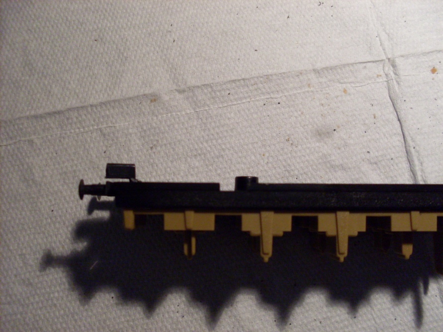 Copia di SDC10635.JPG