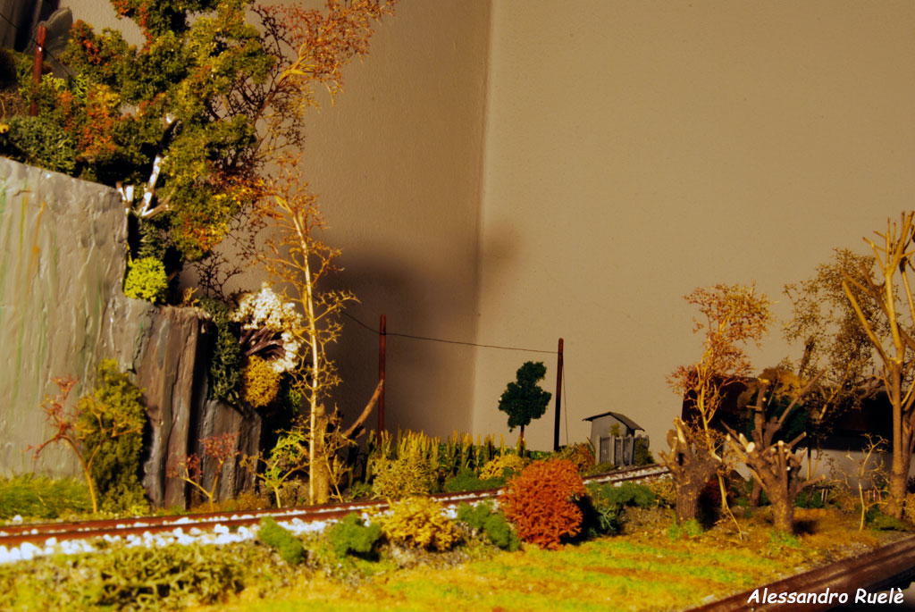 Diorama-laterale-dg.jpg