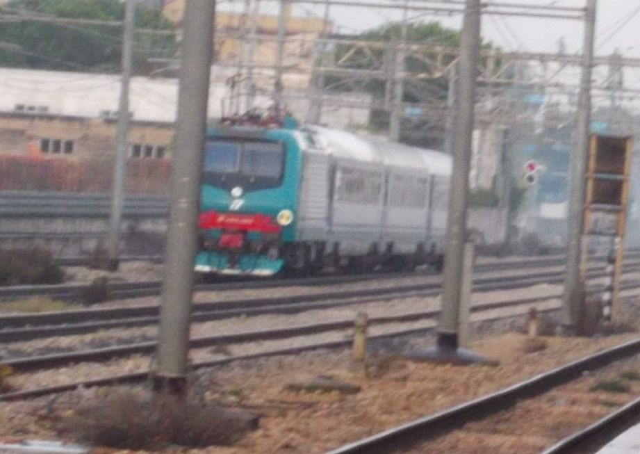 Copia di DSCN0137.JPG