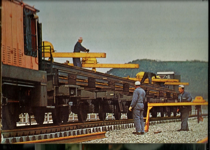 cinquina in servizio - Copia.jpg