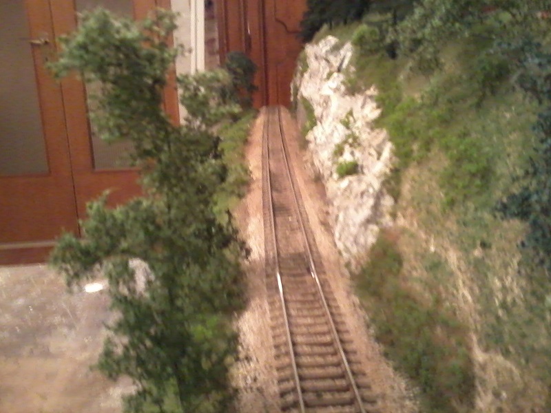 gatto michele 925.jpg