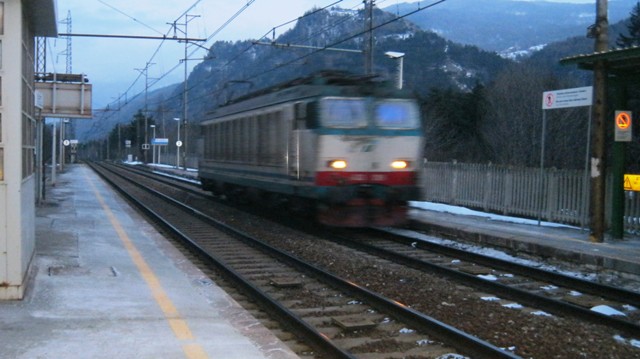 Copia di Copia di Tigre Beaulard 24-02-13.jpg