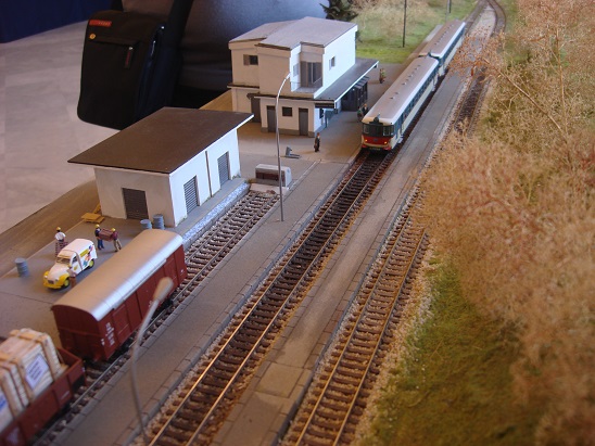 Centenario Alifana (91).JPG