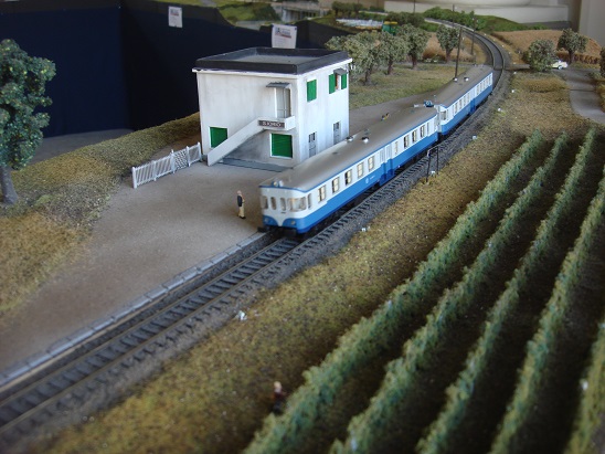 Centenario Alifana (79).JPG