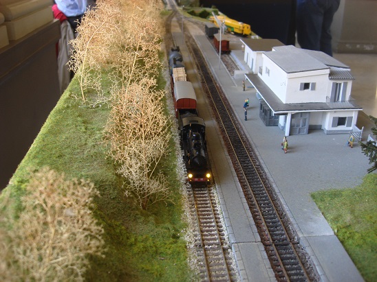 Centenario Alifana (78).JPG