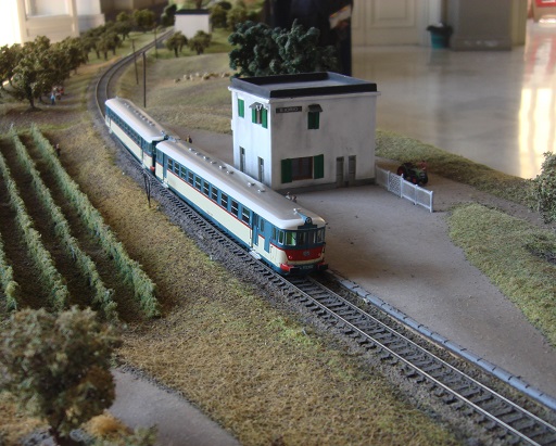 Centenario Alifana (76).JPG