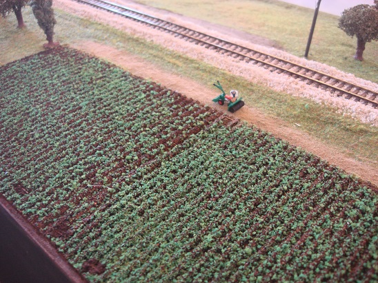 Centenario Alifana (85).JPG