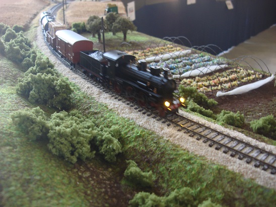 Centenario Alifana (80).JPG