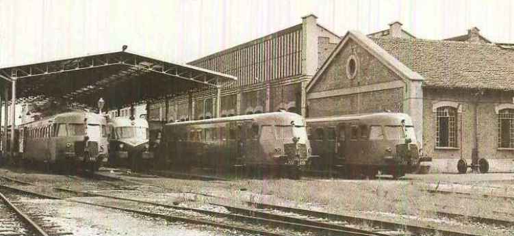 DL treviso 1977 Garzaro.jpg