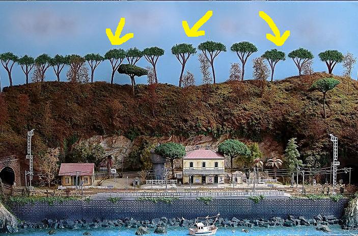 DSCF3771 - Copia - Copia.JPG