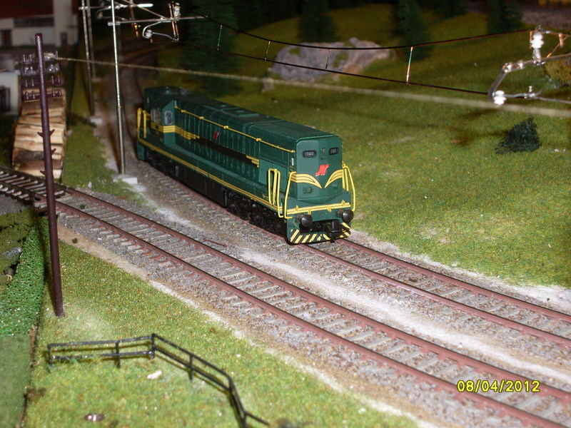 SDC15015.JPG