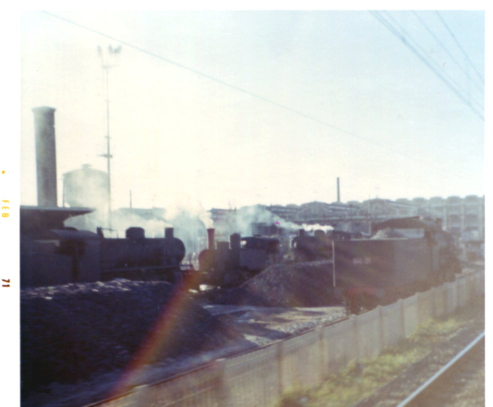 mi greco feb71 copia.jpg