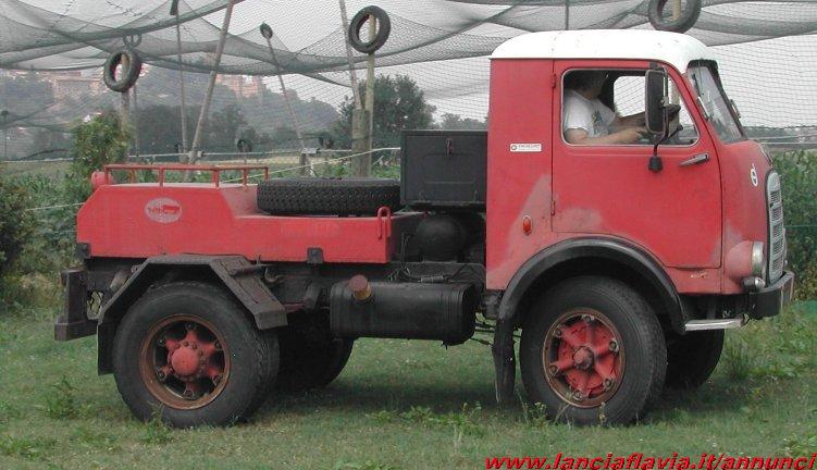 2img-1239181559.jpg