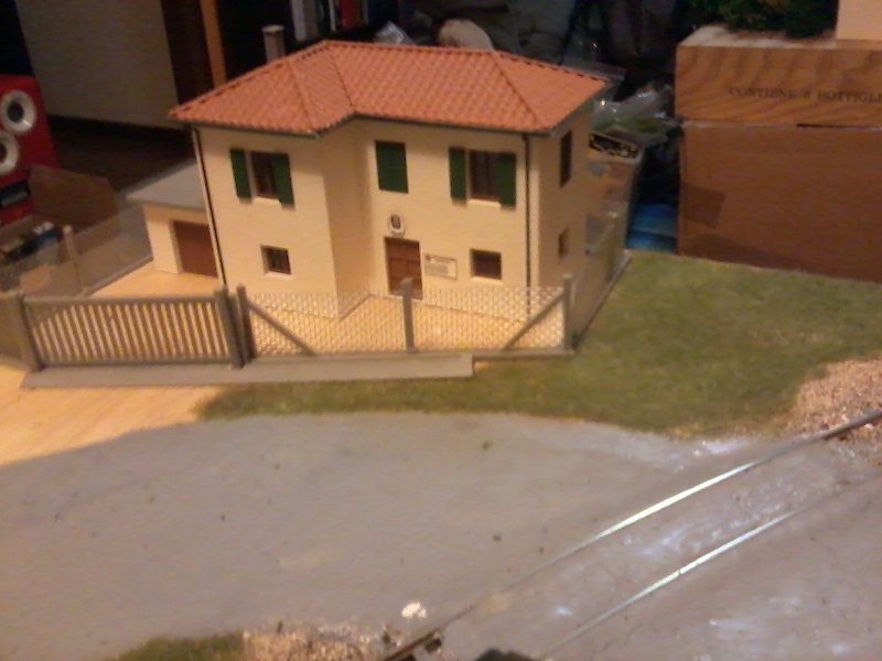 gatto michele 635.jpg