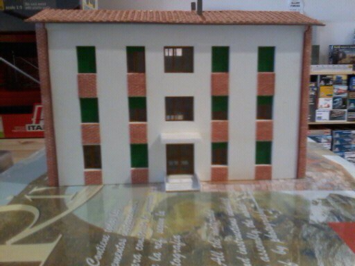 gatto michele 336.jpg