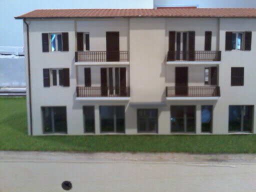 gatto michele 350.jpg