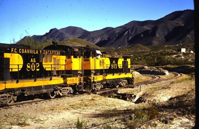 loco 802 + 803.JPG